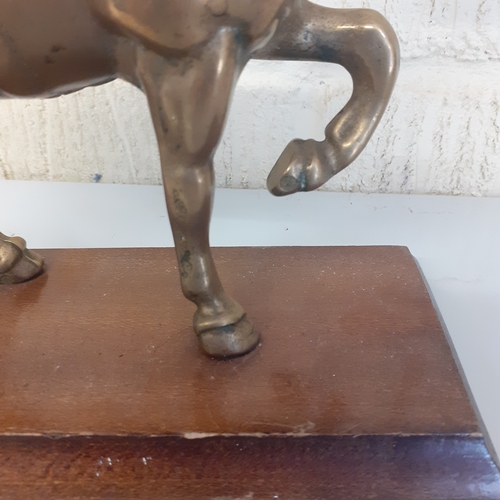 54 - Brass horse on a wooden plinth. Weight is