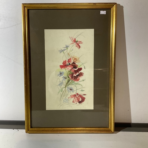 174 - Framed & glazed signed watercolour of poppies