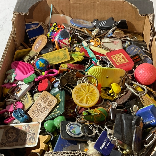 132 - A very large collection of key rings