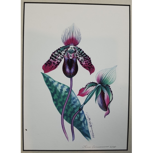 298A - 2 beautifully coloured signed limited edition prints by Irina Garmashova. Sealed. Size: 28 cm x 35.5... 