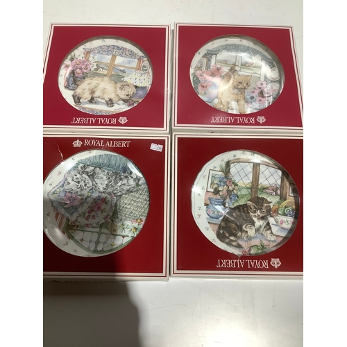 39 - 4x royal Albert cat decorative plates in boxes