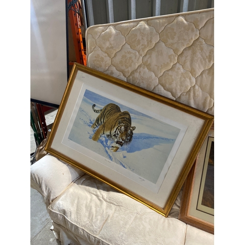 495 - Large framed tiger prints - one signed Anthony Gibbs 77/475 (110x80cm) & another signed Anthony Gibb... 