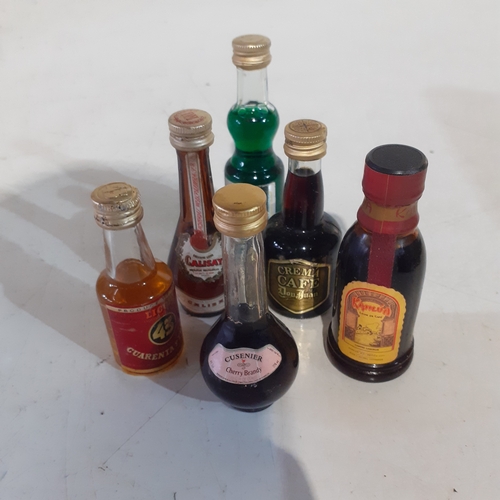 Lot 31        