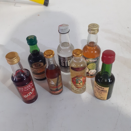 Lot 33        