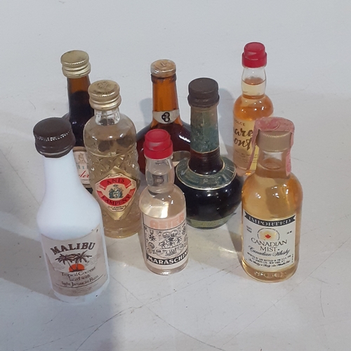 Lot 35        