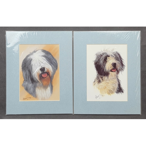 123A - 4 colour dog prints in mounts. Includes Old English Sheepdog, Bearded Collie, Westie and Dachshund. ... 