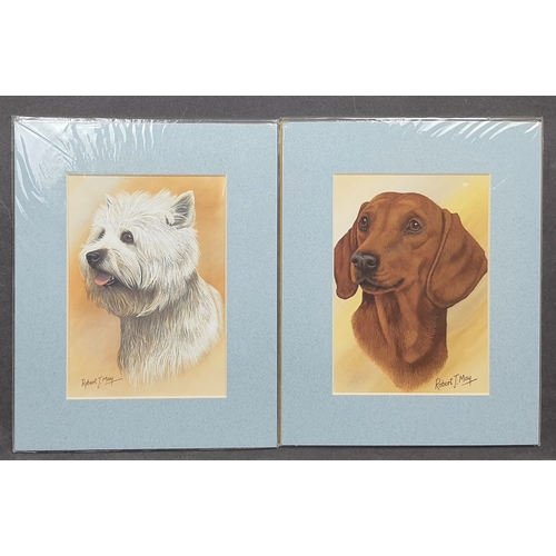 123A - 4 colour dog prints in mounts. Includes Old English Sheepdog, Bearded Collie, Westie and Dachshund. ... 