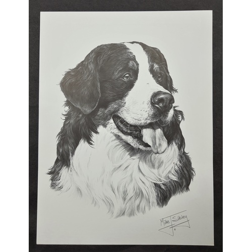 127A - 4 x Mike Sibley black & white prints of dogs. Great Dane, Bernese Mountain dog, Basset Hound, and Ja... 