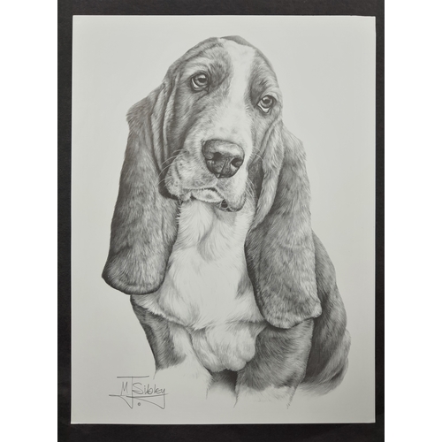 127A - 4 x Mike Sibley black & white prints of dogs. Great Dane, Bernese Mountain dog, Basset Hound, and Ja... 