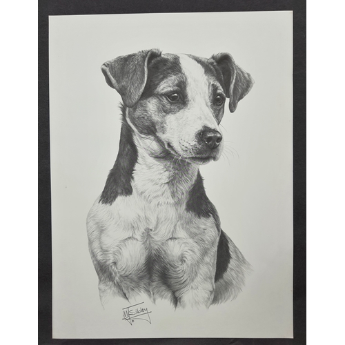 127A - 4 x Mike Sibley black & white prints of dogs. Great Dane, Bernese Mountain dog, Basset Hound, and Ja... 