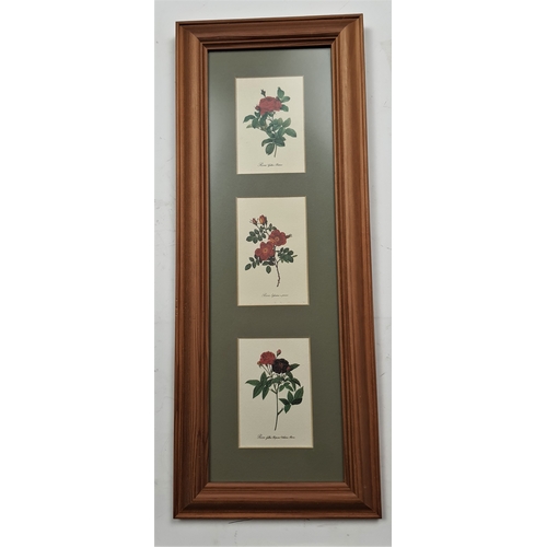 114A - 2 wood frames and glazed pictures with sweet little flower prints. Size: 18 cm x 46 cm.