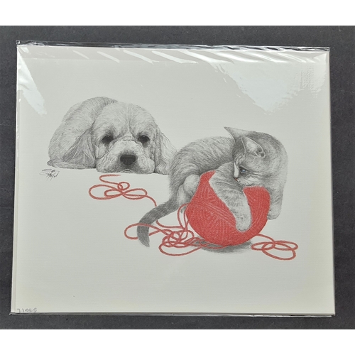 103A - 4 black & white prints of cats and dogs, with a pop of colour, on textured card. Individually sealed... 