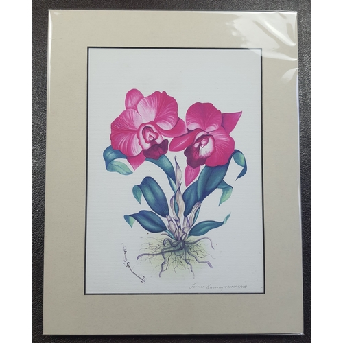 315A - 2 beautifully coloured signed limited edition prints by Irina Garmashova. Sealed. Size: 28 cm x 35.5... 