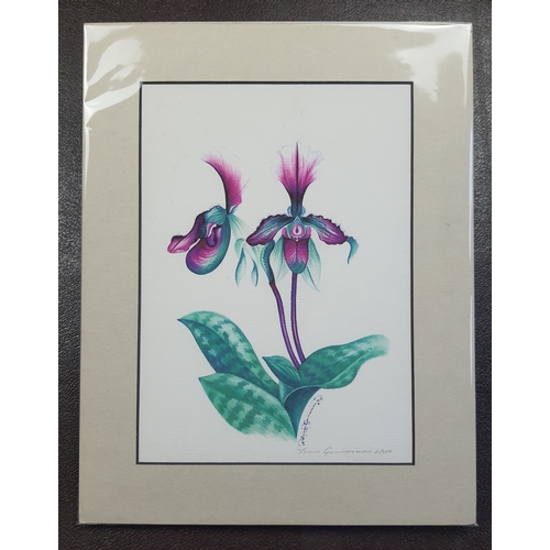 315A - 2 beautifully coloured signed limited edition prints by Irina Garmashova. Sealed. Size: 28 cm x 35.5... 