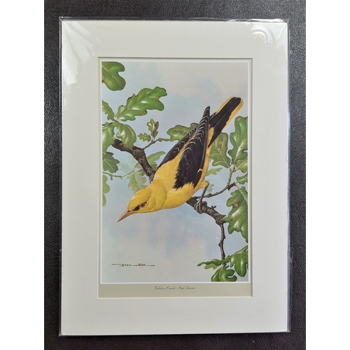 304A - 2 mounted prints by Basil Ede. “Golden Oriole – Oakleaves” and “Spotted Flycatcher – Buddleia”. Seal... 