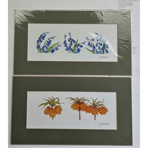 344A - 4 x flower prints in mount. Individually sealed. Size: 36 cm x 20 cm.