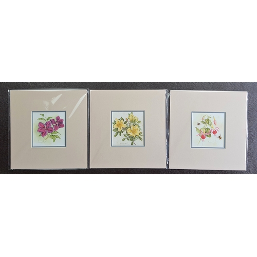 341A - 5 colour flower prints in double mounts. Clematis “Jackmani”, Mermaid Rose, Fuschia, Summer Flowers,... 