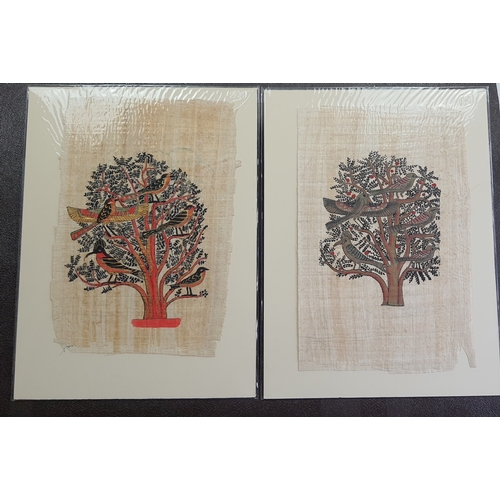 342A - 2 prints of birds in trees on papyrus. One with gold highlightsIndividually sealed. Size: 30.5 cm x ... 