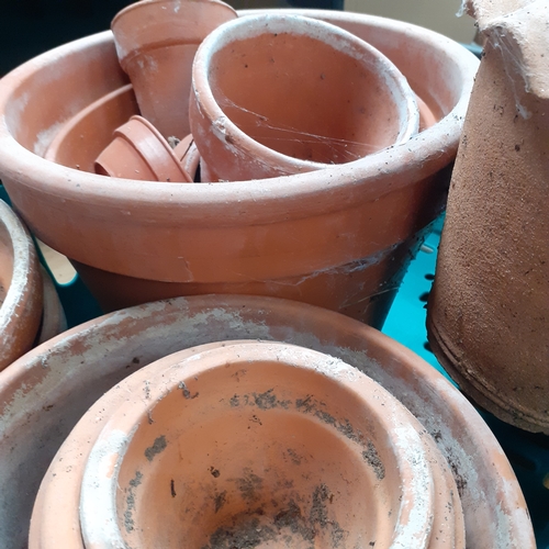 20 - Quantity of terracotta/clay flowerpots.  Varying sizes. No damage