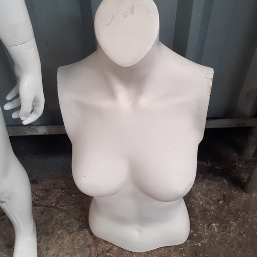 21 - Mannequins.  A boy and two busts. Good for purpose ...... light scratches/marks on surface