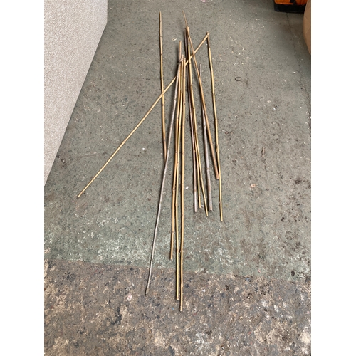 451 - Quantity of bamboo canes