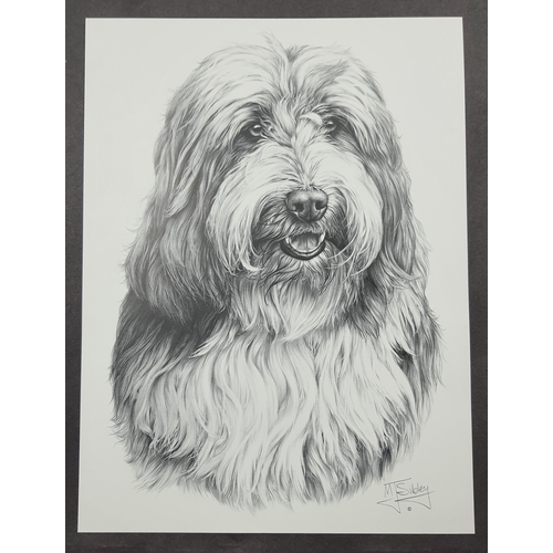 126A - 4 x Mike Sibley black & white prints of dogs. Bearded Collie, Airedale Terrier, Chihuahua, and Pekin... 