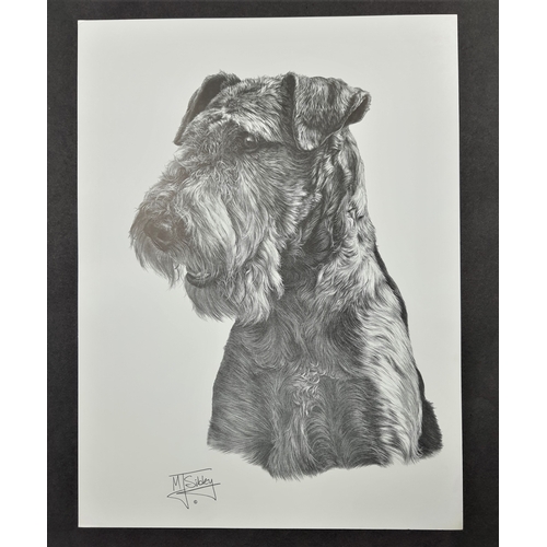 126A - 4 x Mike Sibley black & white prints of dogs. Bearded Collie, Airedale Terrier, Chihuahua, and Pekin... 