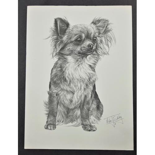 126A - 4 x Mike Sibley black & white prints of dogs. Bearded Collie, Airedale Terrier, Chihuahua, and Pekin... 