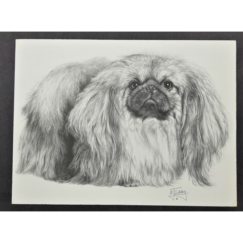 126A - 4 x Mike Sibley black & white prints of dogs. Bearded Collie, Airedale Terrier, Chihuahua, and Pekin... 