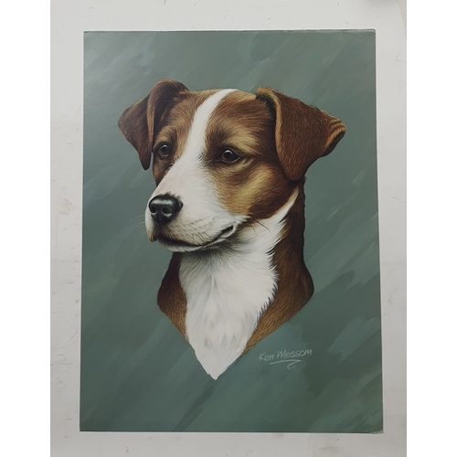 127A - 4 colour prints of dogs (different breeds). Size: 30 cm x 40.5 cm