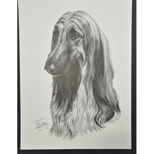 120A - 4 x Mike Sibley black & white prints of dogs. Afghan Hound, Cairn Terrier, Springer Spaniel and Yell... 