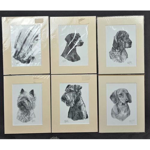 121A - 6 x Mike Sibley black & white prints of dogs in mounts. Irish Setter, Doberman, English Setter, Dach... 