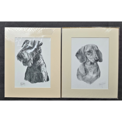 121A - 6 x Mike Sibley black & white prints of dogs in mounts. Irish Setter, Doberman, English Setter, Dach... 