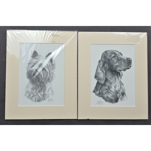 121A - 6 x Mike Sibley black & white prints of dogs in mounts. Irish Setter, Doberman, English Setter, Dach... 