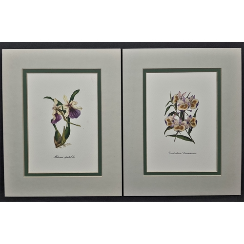 127A - 6 flower prints in double mounts. Size: 20 cm x 25 cm.