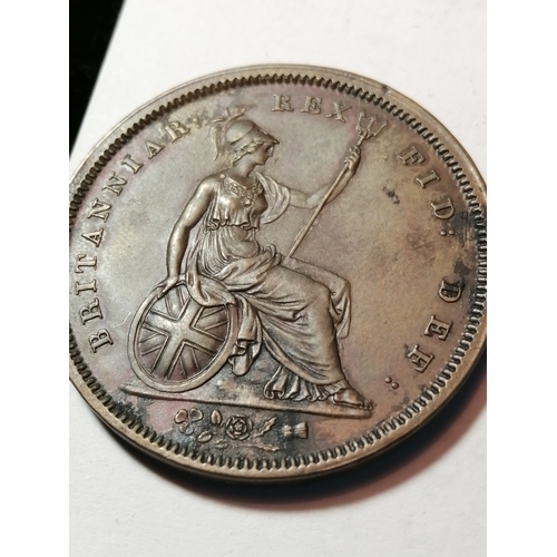 39A - 1831 William IV penny in extremely fine condition with traces of original lustre