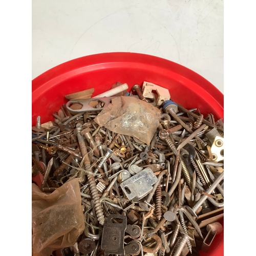 303 - Tub full of nails & screws