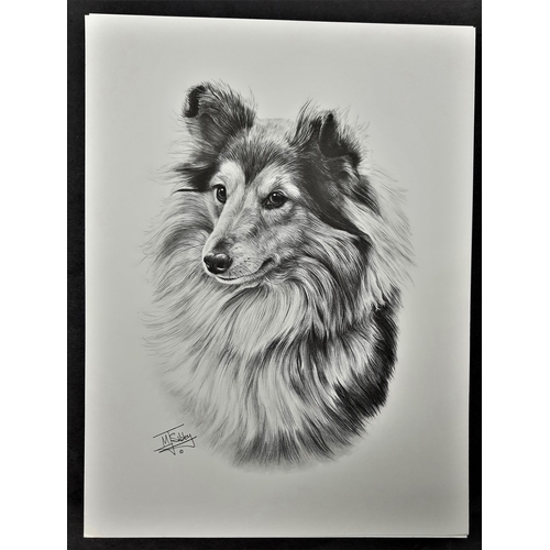 124A - 4 x Mike Sibley black & white prints of dogs. Golden Retriever, Old English Sheepdog, Shetland Sheep... 