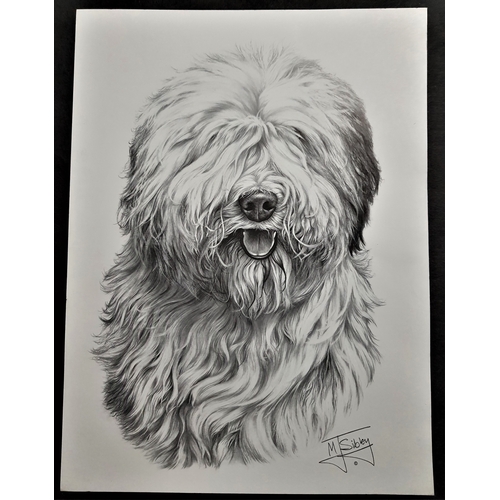 124A - 4 x Mike Sibley black & white prints of dogs. Golden Retriever, Old English Sheepdog, Shetland Sheep... 