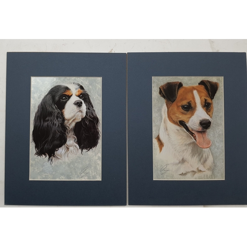 114A - 6 colour dog prints by Stephen Ormerod, different breeds. Sealed. Size: 24 cm x 30.5 cm.