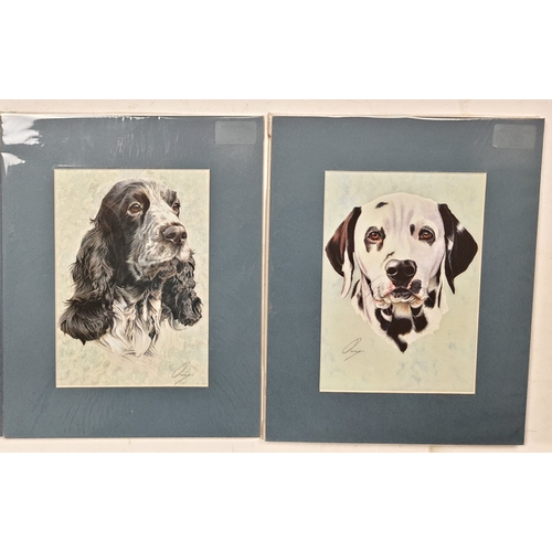 114A - 6 colour dog prints by Stephen Ormerod, different breeds. Sealed. Size: 24 cm x 30.5 cm.