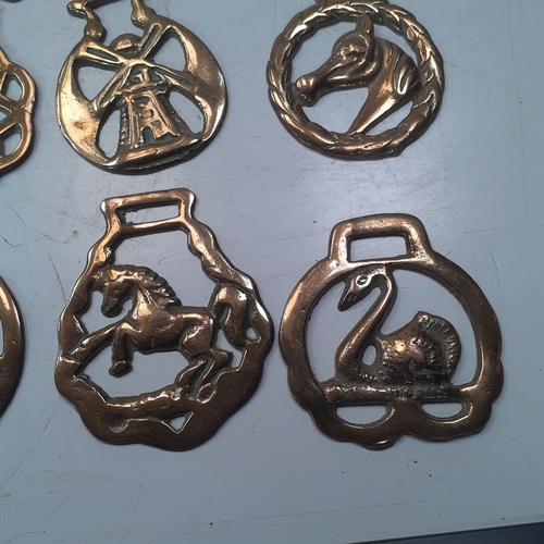 20 - Quantity of horse brasses with a small brass carraige. Unusual more rare brass depicting spiders web... 