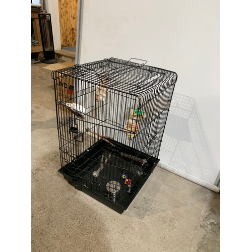 300 - Metal bird cage with accessories