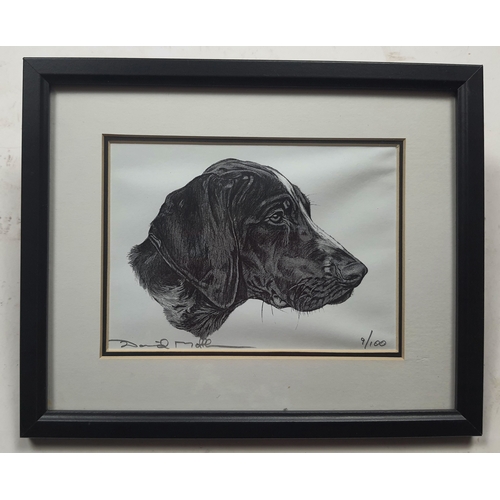 116A - Framed, glazed and ready to hang. Signed, limited edition (9/100) black and white print of a dog. Si... 