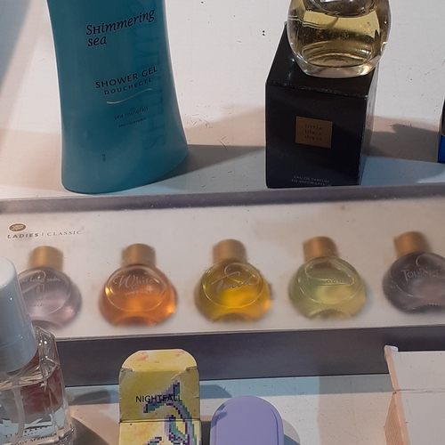 6 - Beauty products and perfumes, including lots of miniature perfumes, Ted Baker  Royal jelly and more.... 