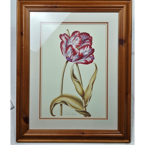 119A - Large wood framed and glazed colour flower print in triple mount. Size: 54.5 cm x 68 cm.