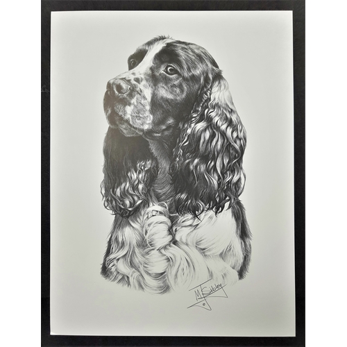 120A - 4 x Mike Sibley black & white prints of dogs. Afghan Hound, Cairn Terrier, Springer Spaniel and Yell... 