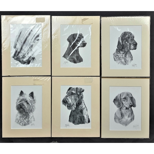 112A - 6 x Mike Sibley black & white prints of dogs in mounts. Irish Setter, Doberman, English Setter, Dach... 