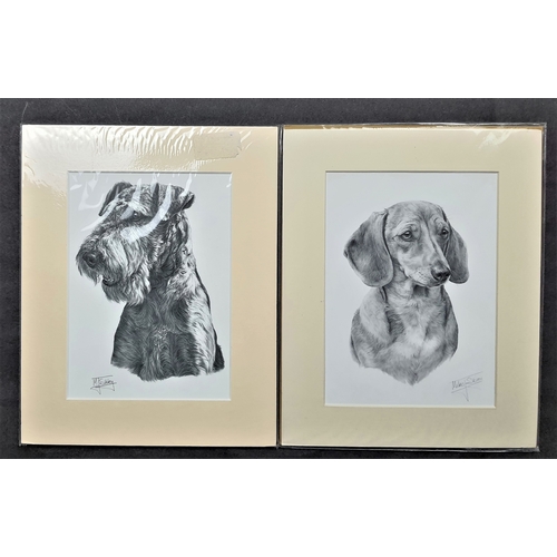 112A - 6 x Mike Sibley black & white prints of dogs in mounts. Irish Setter, Doberman, English Setter, Dach... 