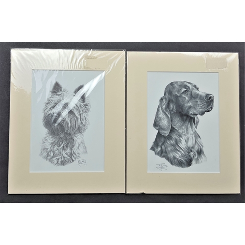 112A - 6 x Mike Sibley black & white prints of dogs in mounts. Irish Setter, Doberman, English Setter, Dach... 